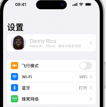 临漳appleID维修服务iPhone设置中Apple ID显示为灰色无法使用 