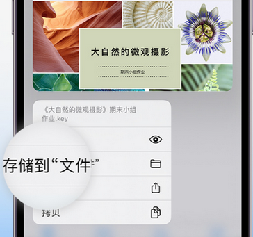 临漳apple维修中心分享iPhone文件应用中存储和找到下载文件