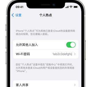 临漳apple服务站点分享iPhone上个人热点丢失了怎么办