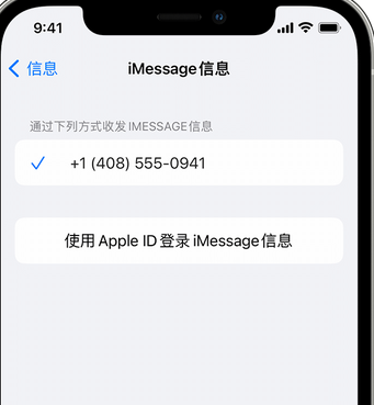 临漳apple维修iPhone上无法正常发送iMessage信息 