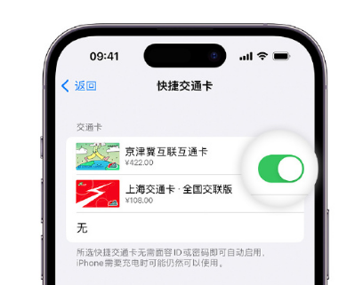 临漳apple维修点分享iPhone上更换Apple Pay快捷交通卡手绘卡面 