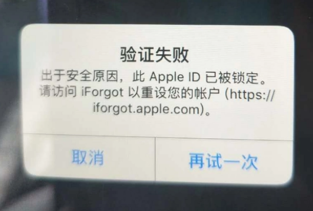 临漳iPhone维修分享iPhone上正常登录或使用AppleID怎么办 