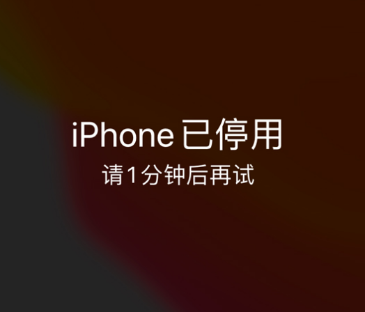 临漳苹果手机维修分享:iPhone 显示“不可用”或“已停用”怎么办？还能保留数据吗？ 