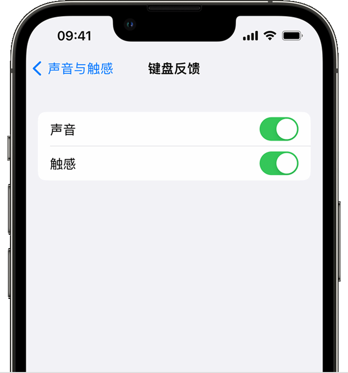 临漳苹果14维修店分享如何在 iPhone 14 机型中使用触感键盘 