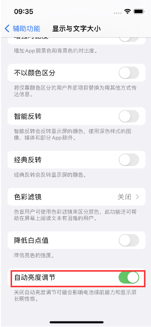 临漳苹果15维修店分享iPhone 15 Pro系列屏幕亮度 