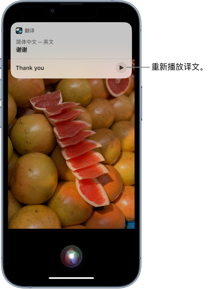 临漳苹果14维修分享 iPhone 14 机型中使用 Siri：了解 Siri 能帮你做什么 