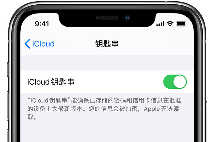 临漳苹果手机维修分享在 iPhone 上开启 iCloud 钥匙串之后会储存哪些信息 