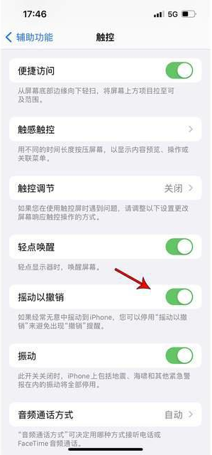 临漳苹果手机维修分享iPhone手机如何设置摇一摇删除文字 